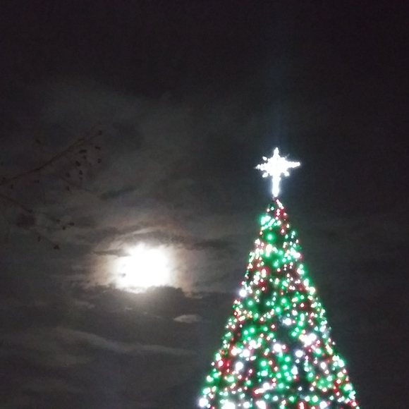 Meet your Posher, Bobbi - Picture 1 of 1